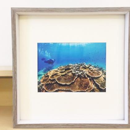 Wall Printables , Coral, Ocean Print, Ocean Art,..